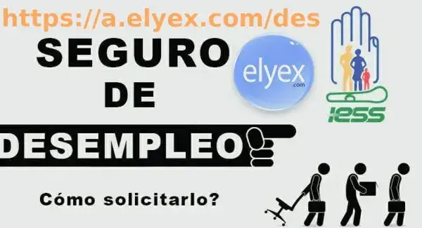 Seguro de Desempleo IESS Ecuador Requisitos solicitud