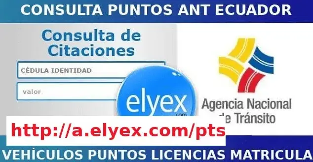 Consulta Multas ANT Ecuador Licencia Matricula SRI SPPAT