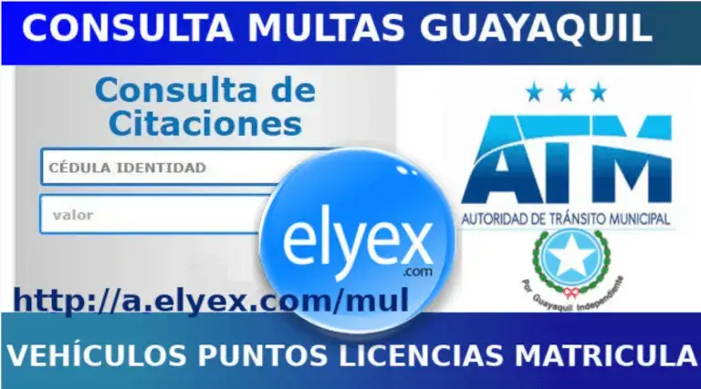 Consulta Multas Guayaquil ATM Tránsito CTE Online Internet