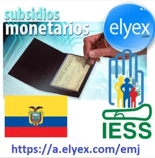 Subsidios Monetarios IESS Servicios en Línea
