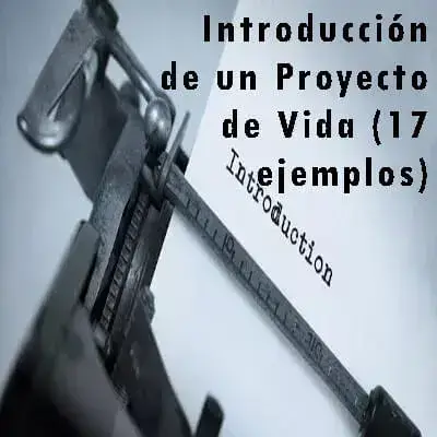 introducción proyecto vida