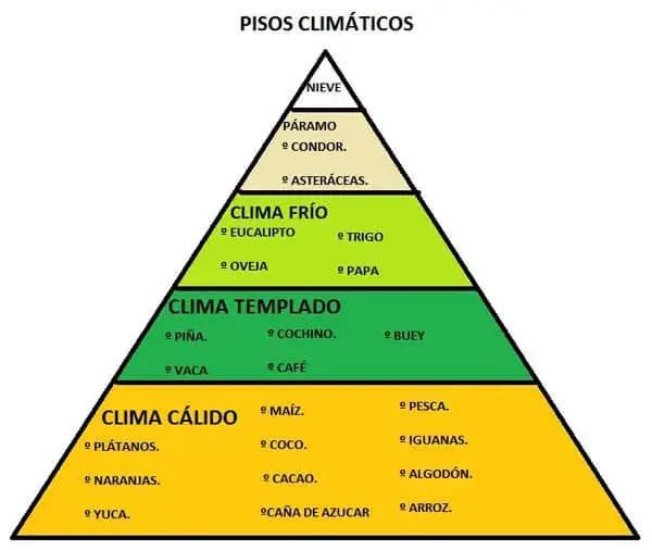 pisos climaticos ecuador