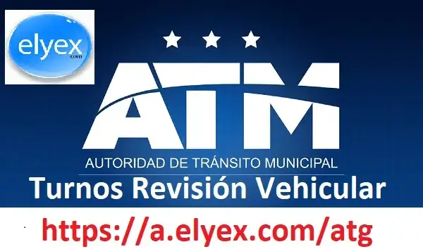 turnos revision vehicular guayaquil
