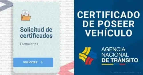 certificado vehiculo