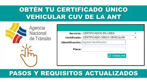 Obtén-tu-Certificado-Único-Vehicular-CUV-de-la-ANT