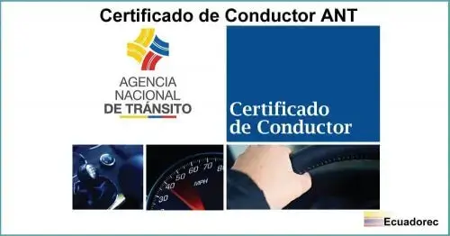 certificado conductor