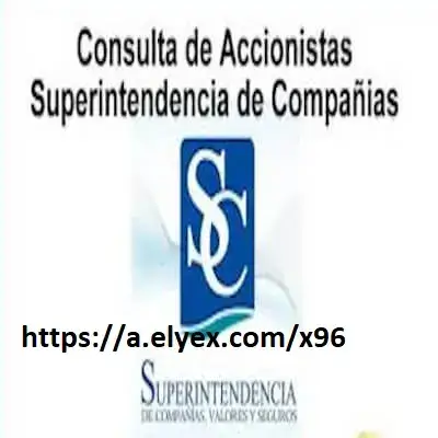 consulta accionistas superintendencia compañias
