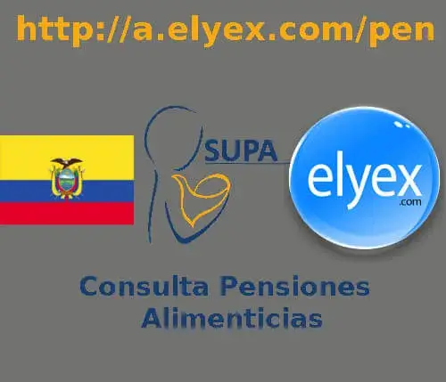 consulta pension alimenticias cuanto debo tabla funcion judicial
