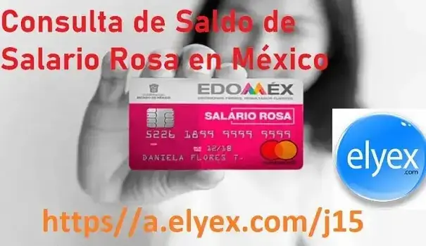 consulta saldo salario rosa mexico