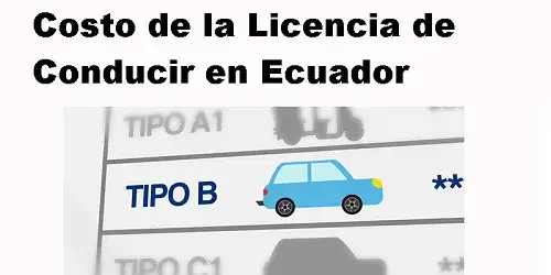 valor licencia