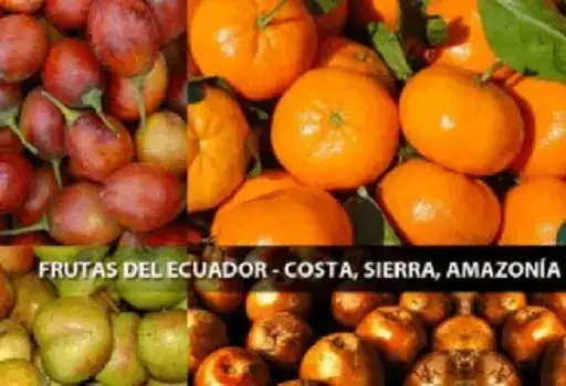 frutas costa sierra oriente ecuador