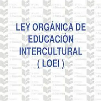 ley orgánica educación intercultural ecuador