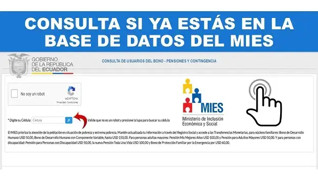 base datos mies consultar