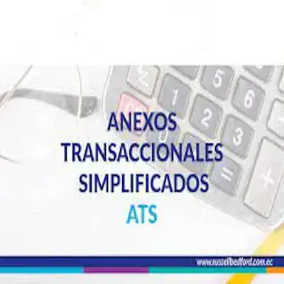 anexos transaccionales simplificados ast