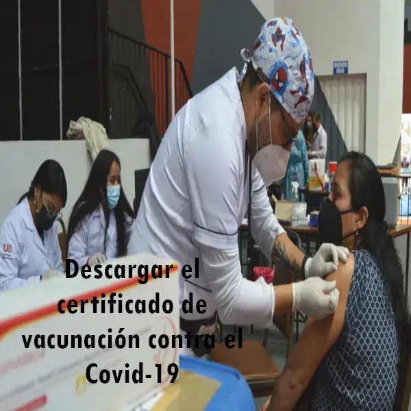 descargar certificado carnet vacunacion covid19