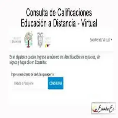 Consultar Calificaciones en la Educación a Distancia Virtual