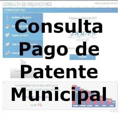 Consulta Pago de Patente Municipal Quito en línea