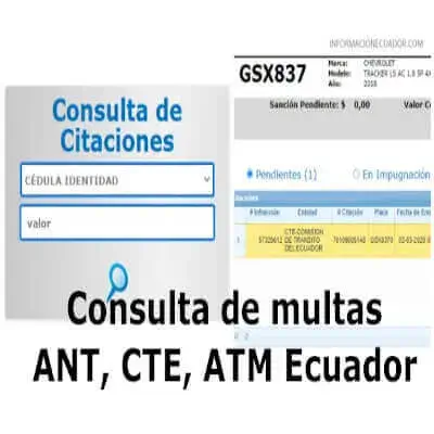 Consulta de multas ANT, CTE, ATM Ecuador