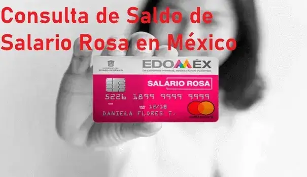 Consulta de Saldo de Salario Rosa en México