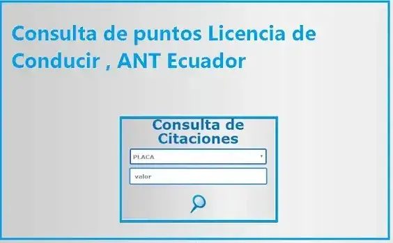 consulta puntos licencia conducir ant
