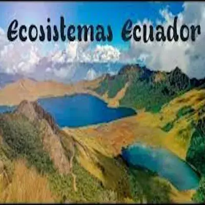 Principales Ecosistemas del Ecuador ¿Cuáles son?