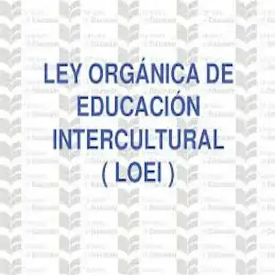 Ley Orgánica de Educación Intercultural Ecuador – LOEI