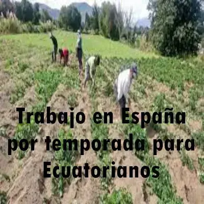 Trabajo en España por temporada para Ecuatorianos
