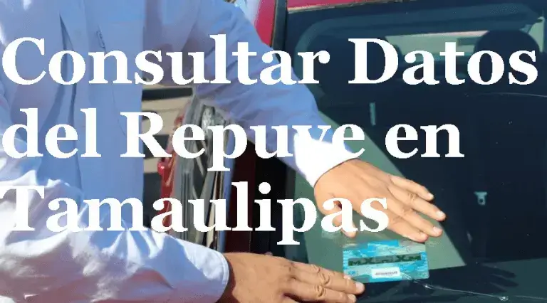 Consultar Datos del Repuve en Tamaulipas