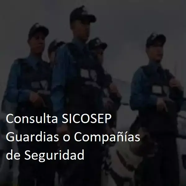 Consulta-SICOSEP-Guardias-o-Companias-de-Seguridad-1