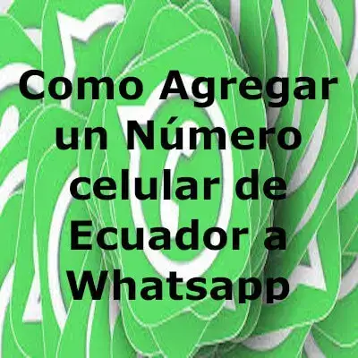 Cómo Agregar un Número celular de Ecuador a Whatsapp