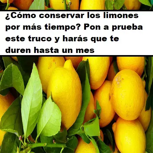 ¿Cómo conservar los limones por más tiempo? Pon a prueba este truco y harás que te duren hasta un mes
