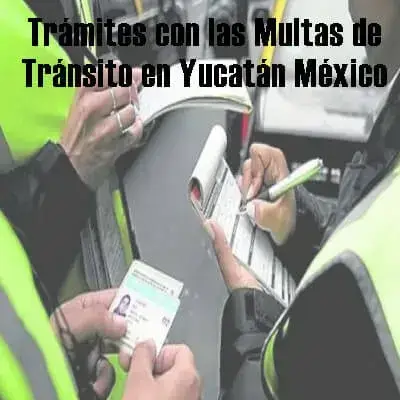 Trámites con las Multas de Tránsito en Yucatán México