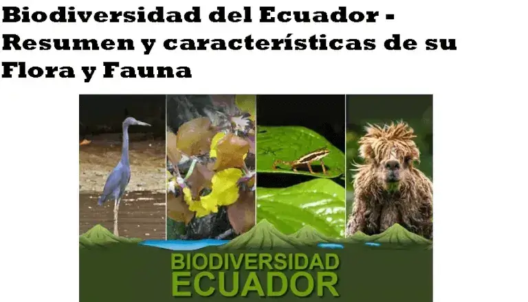 Los Pisos Climáticos del Ecuador - Flora, fauna y más características