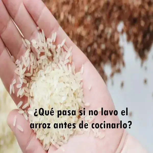 ¿Qué pasa si no lavo el arroz antes de cocinarlo?